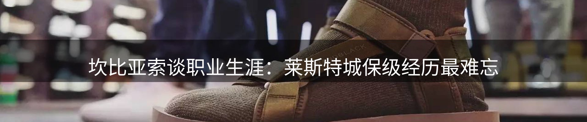 平台导读