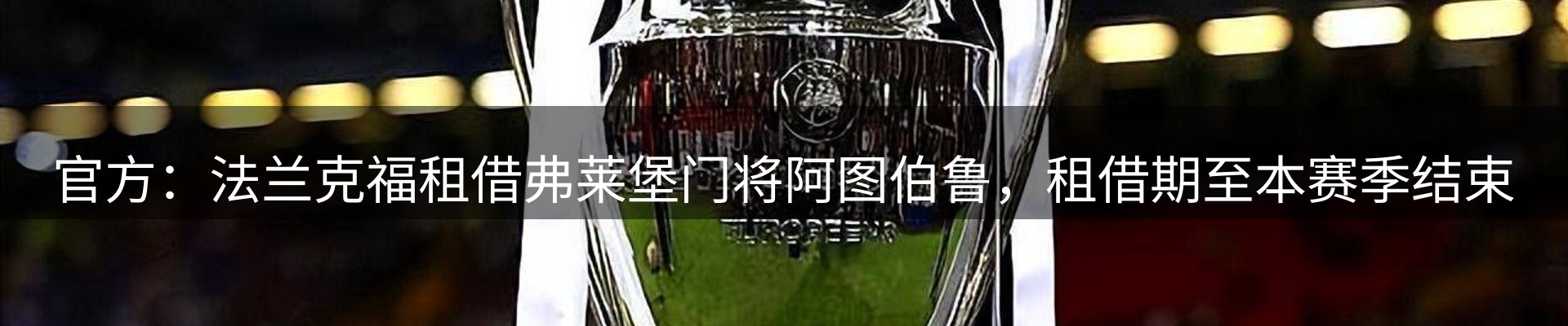 平台导读