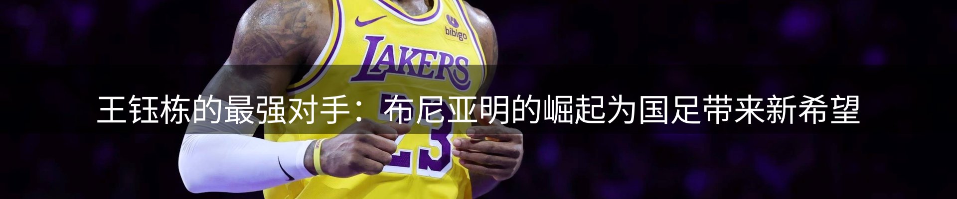 平台导读