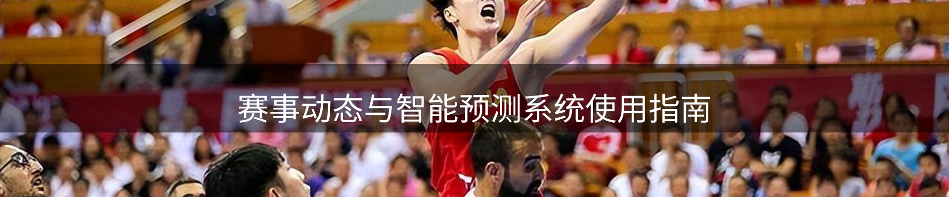 平台导读